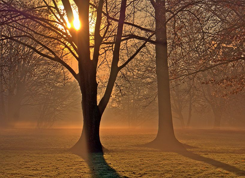 Morning 1 von Edgar Schermaul