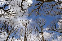 Der Himmel ist die Grenze