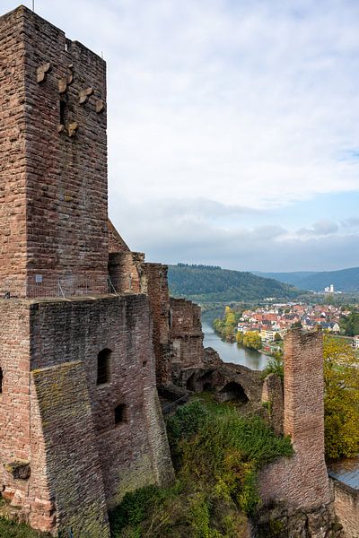 Wertheim, une belle petite ville d'Allemagne par Guenter Purin