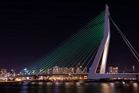 Erasmusbrug in Rotterdam by night