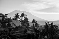 Gunung Agung from Sidemen - black and white