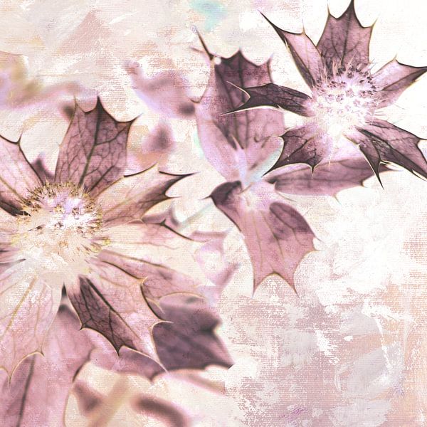 DISTEL von Aydin Yalcin