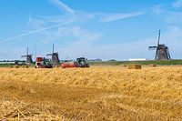 Erntezeit in Zevenhuizen