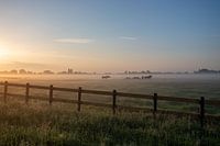 Niederländische Landschaft Sonnenuntergang Sonnenaufgang Wiese