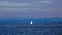Bodensee mit Segelboot
