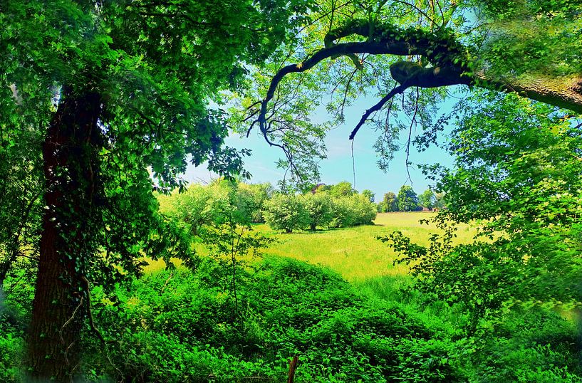 Arbre 4 par Edgar Schermaul