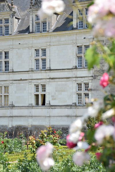 Chateau Villandry umrahmt von Rosen von Ingrid de Vos - Boom