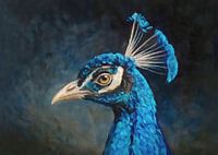 Pfau Portrait Vintage Gemälde