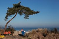 Fischerstrand in Zempin
