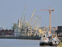 Havenzicht op de Schelde, Antwerpen