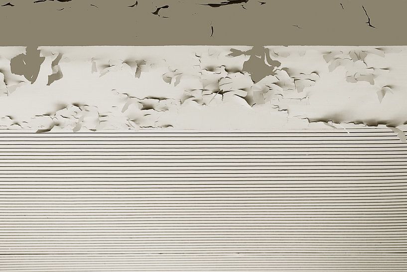 F399 von Laura van Gaans