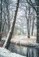 Verschneite Landschaft in Twickel