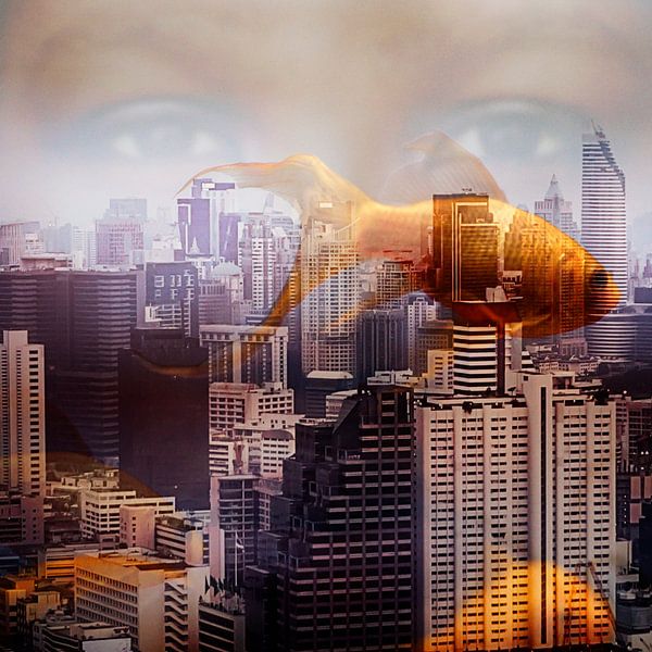 Paysage urbain par Johannes Schotanus