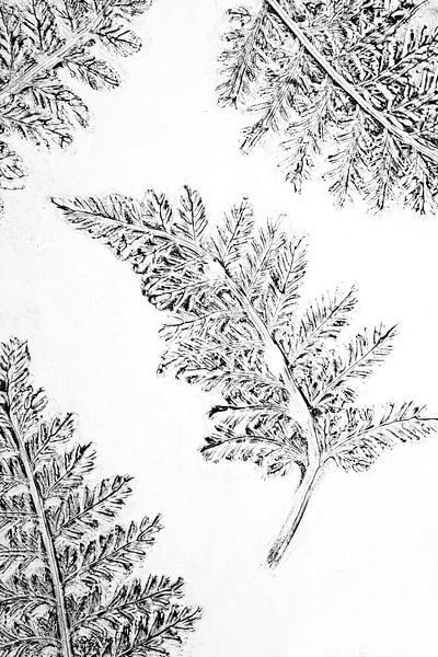 Fern leaf, mixed media by Anjo Kan