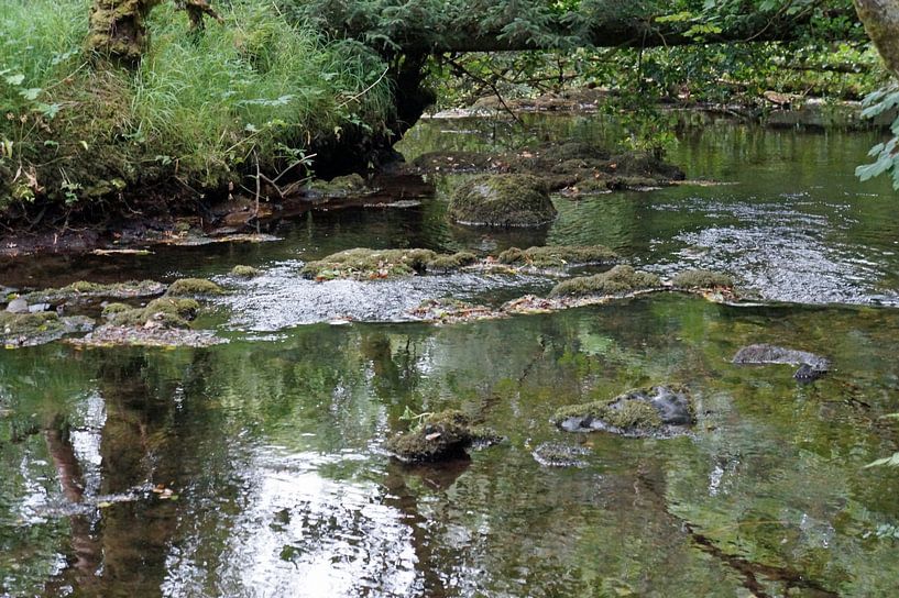 Fowley's Falls in Irland von Babetts Bildergalerie