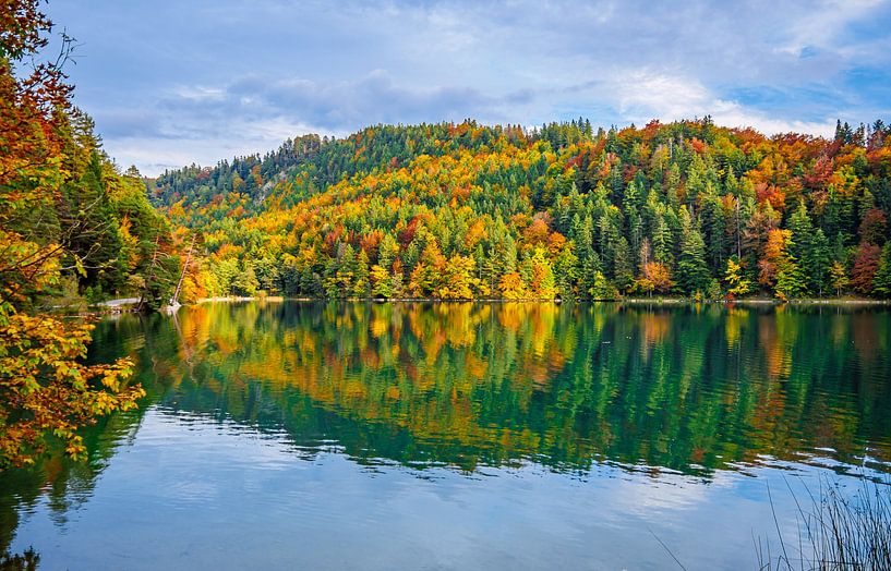 Herbst See mit Wälder von Mustafa Kurnaz