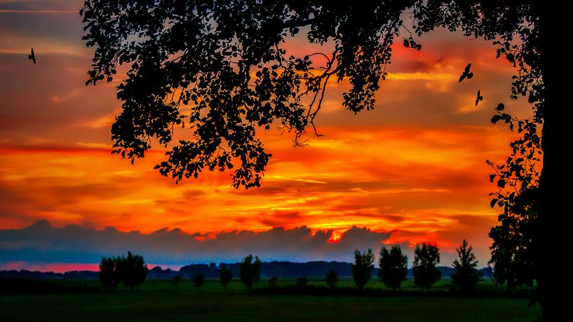 Sunset on the Veluwe by Liberty Biesma