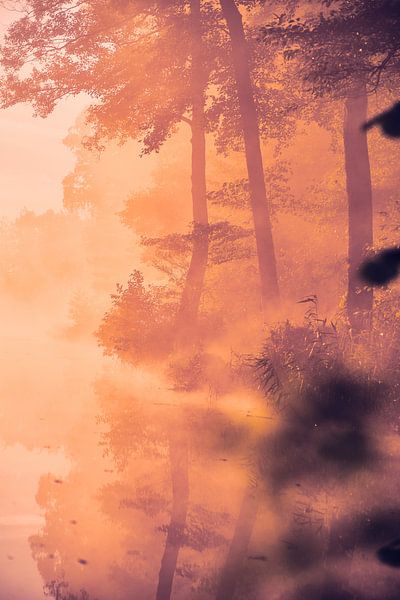 Golden fog at the lake by Florian Kunde