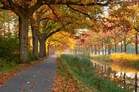 Herbstfarben entlang des Kanals