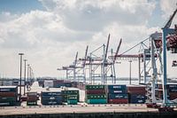 Duinkerken Container Terminal