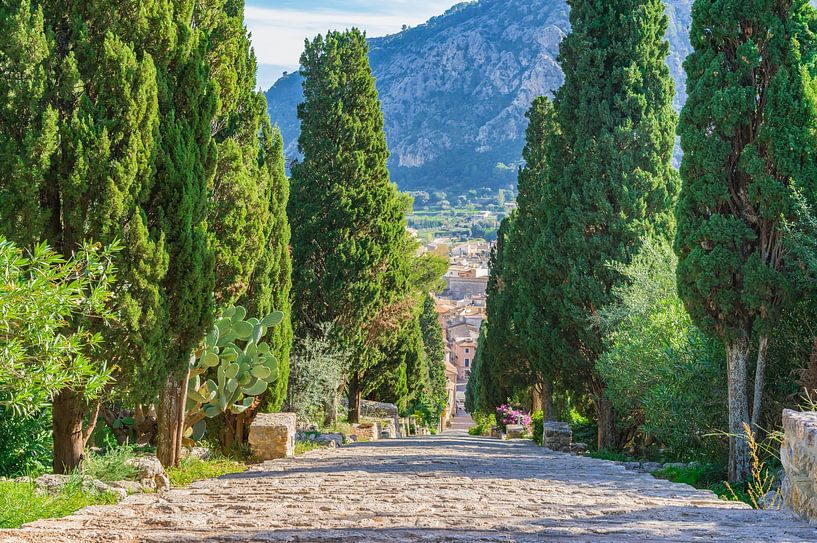 Treppe zum Kalvarienberg von Pollenca auf Mallorca Spanien von Alex Winter