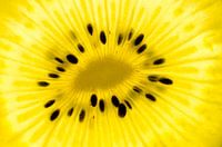 Goldene Kiwi-Scheibe