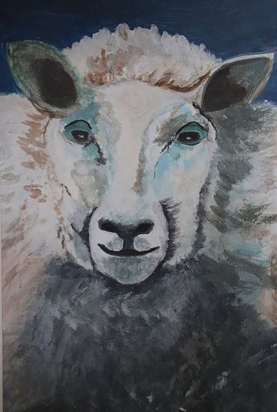 Schaap Rita par Ivan Koole