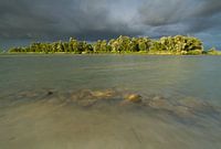 Biesbosch light show