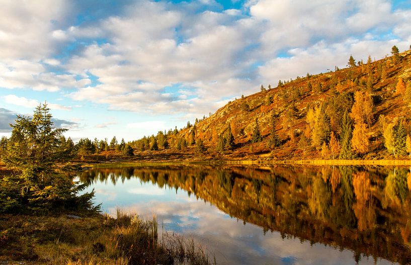 Herbstfarben am Bergsee in Norwegen von Johan Zwarthoed