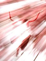 where the wild things come from