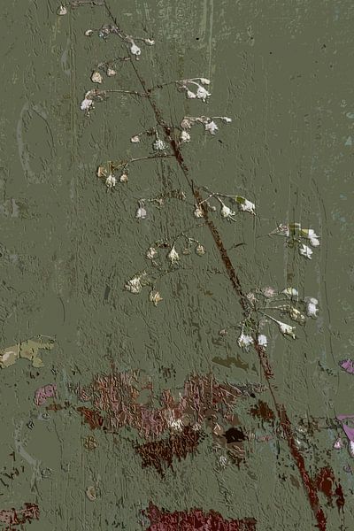 White little flowers on a rough green background by Dominique Landau