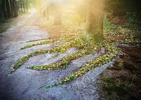 Auf der Suche nach Wasser