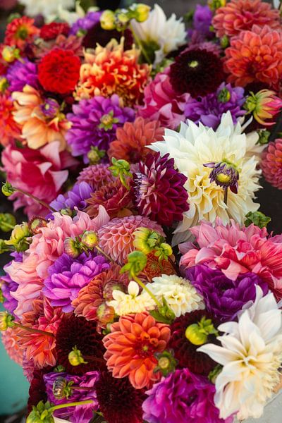several dahlia flowers in a large bouquet on a Dahlia field by Margriet Hulsker