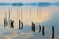 Evening on the Reeuwijkse Plassen