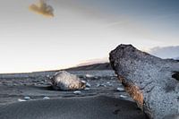 IJsblokken op het Jökulsárlón-strand, IJsland
