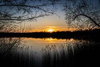 Sonnenuntergang am Wasser