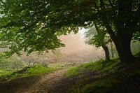 Doorkijkje bij de Posbank