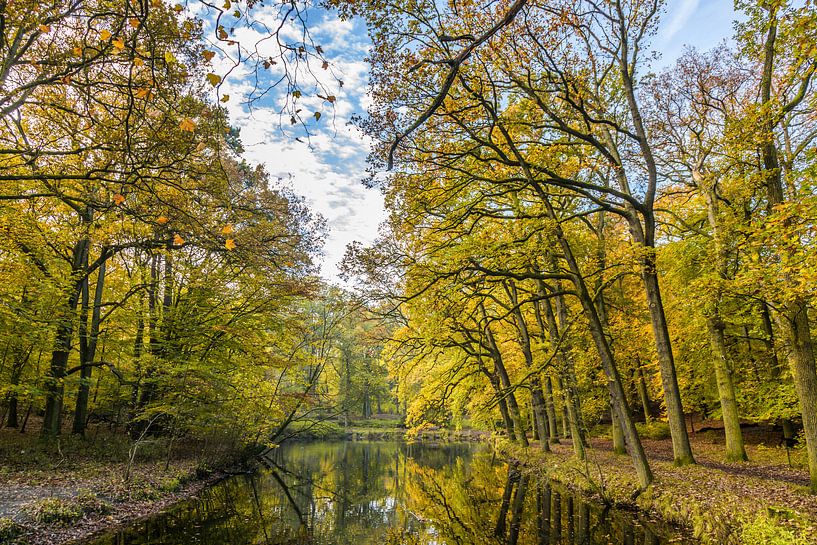 Volwassen bomen in bos langs vijver in herfstkleuren van Henk van den Brink