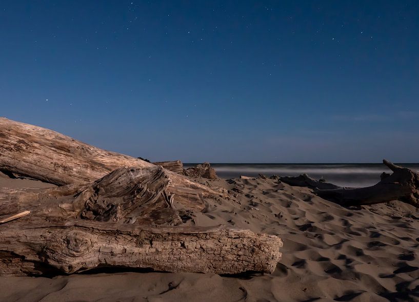 Sternenhimmel an einem Naturstrand mit Treibholz an der Adria in Italien von Animaflora PicsStock