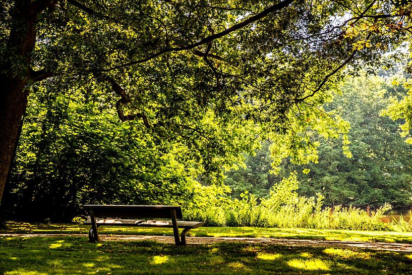 Zeiten der Stille von Thomas Riess