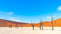 Deadvlei Namibia