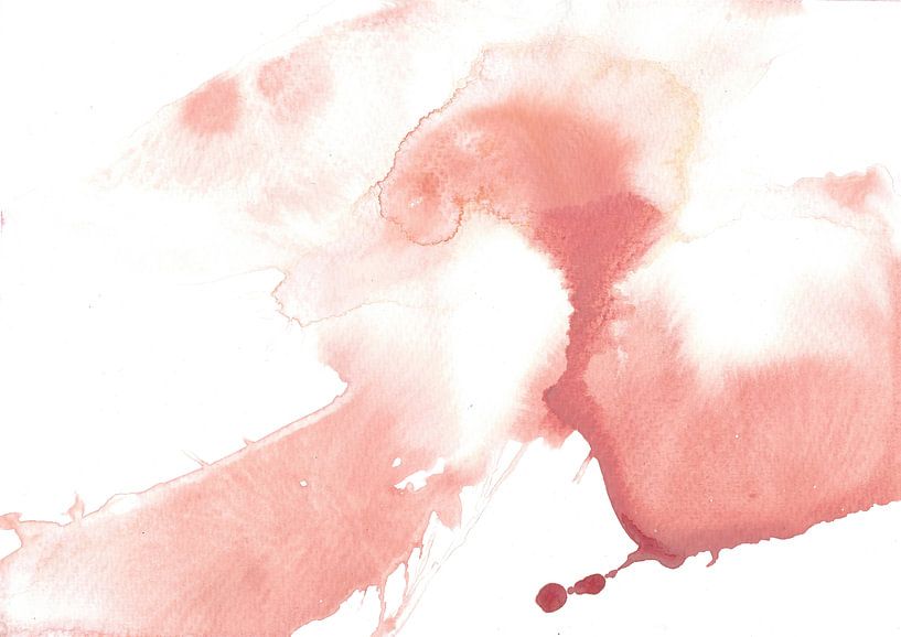 Coral Stream by Elena Schuh