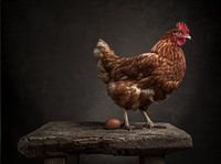 The chicken and the egg - Series - 1/3