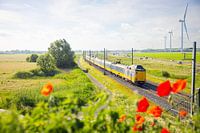 An NS Koploper across the Hanzelijn near Zalk