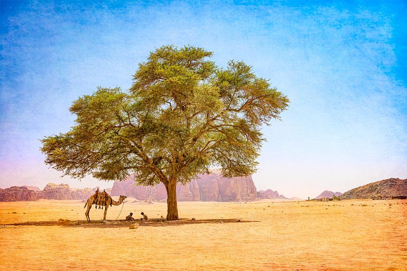 Dromedaris in Wadi rum van Rene van Heerdt