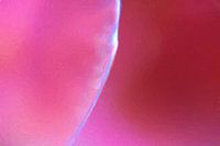 Samen apart een geheel