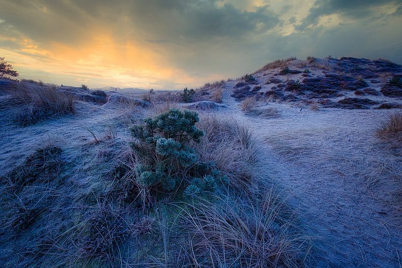 Eingang in Hargen von peterheinspictures