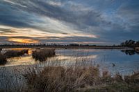 Sonnenuntergang Kalmthoutse Heide