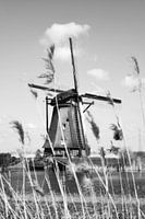 Kinderdijk windmill (Netherlands)