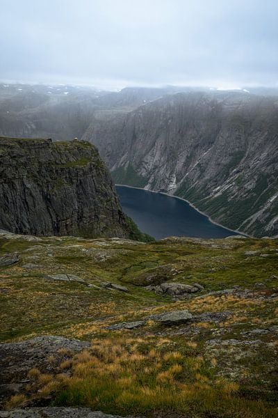 Fjorde in Norwegen von Remco van Adrichem